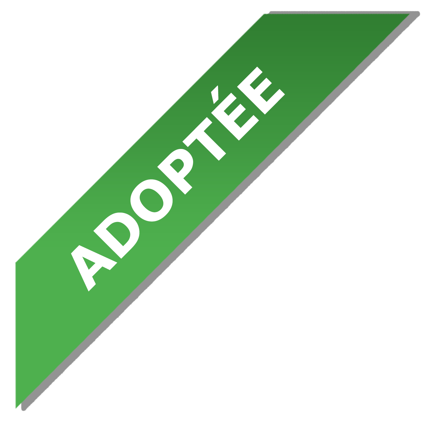 Adoptée